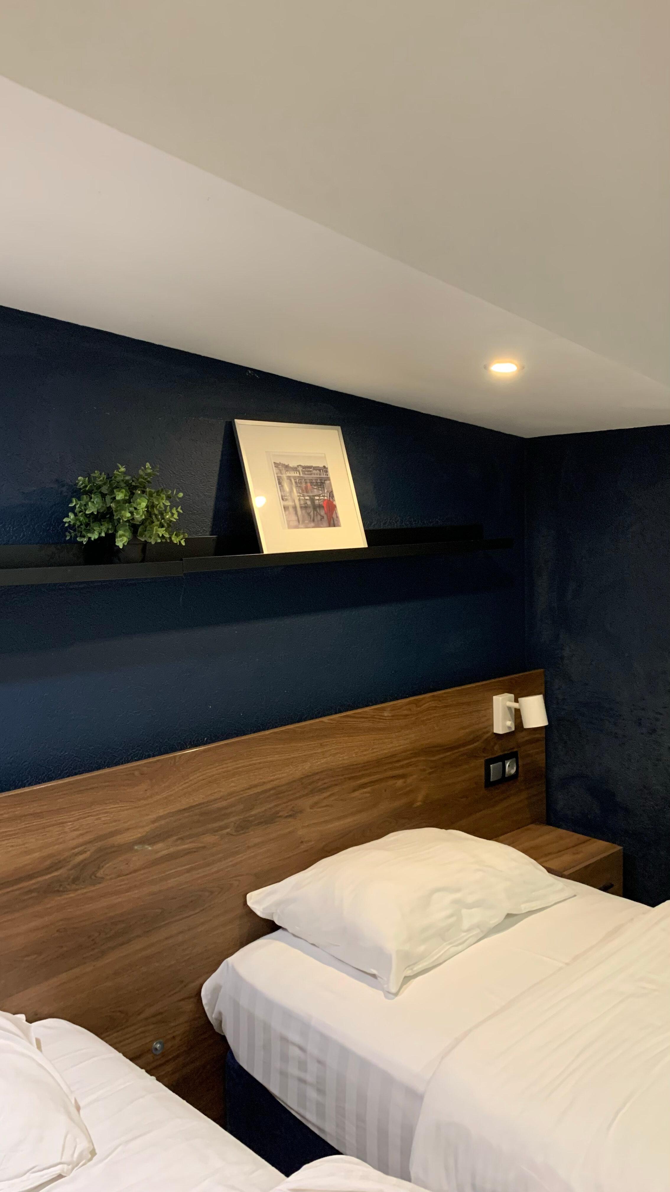 Фото Simple Эдельвейс