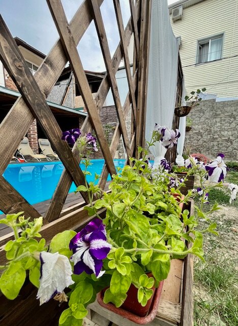 Фото Четвёртая мечта