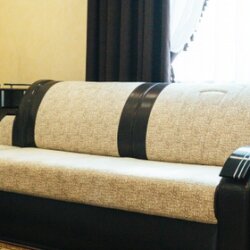 Фото Сорока