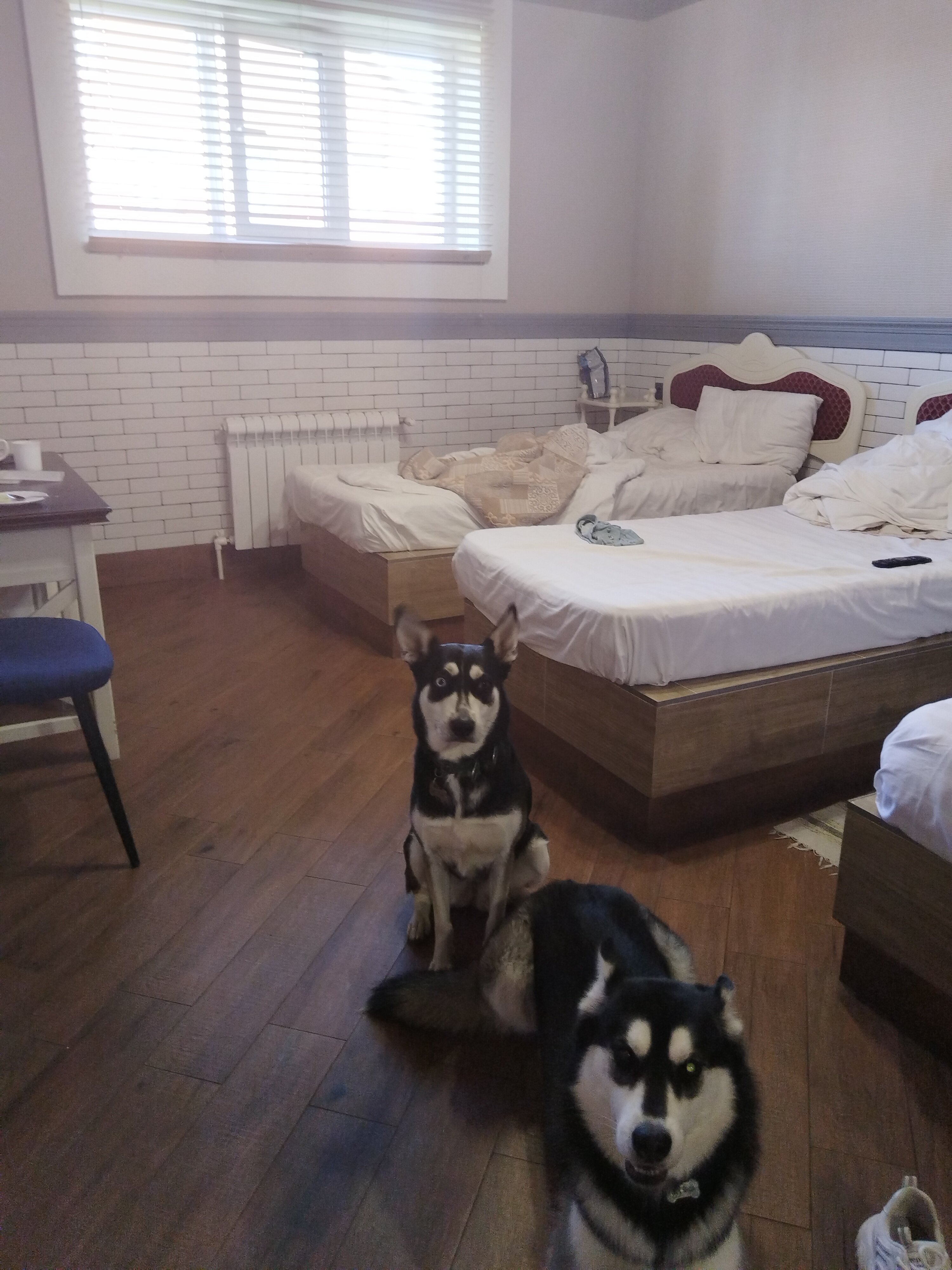 Фото Мотель Илевники