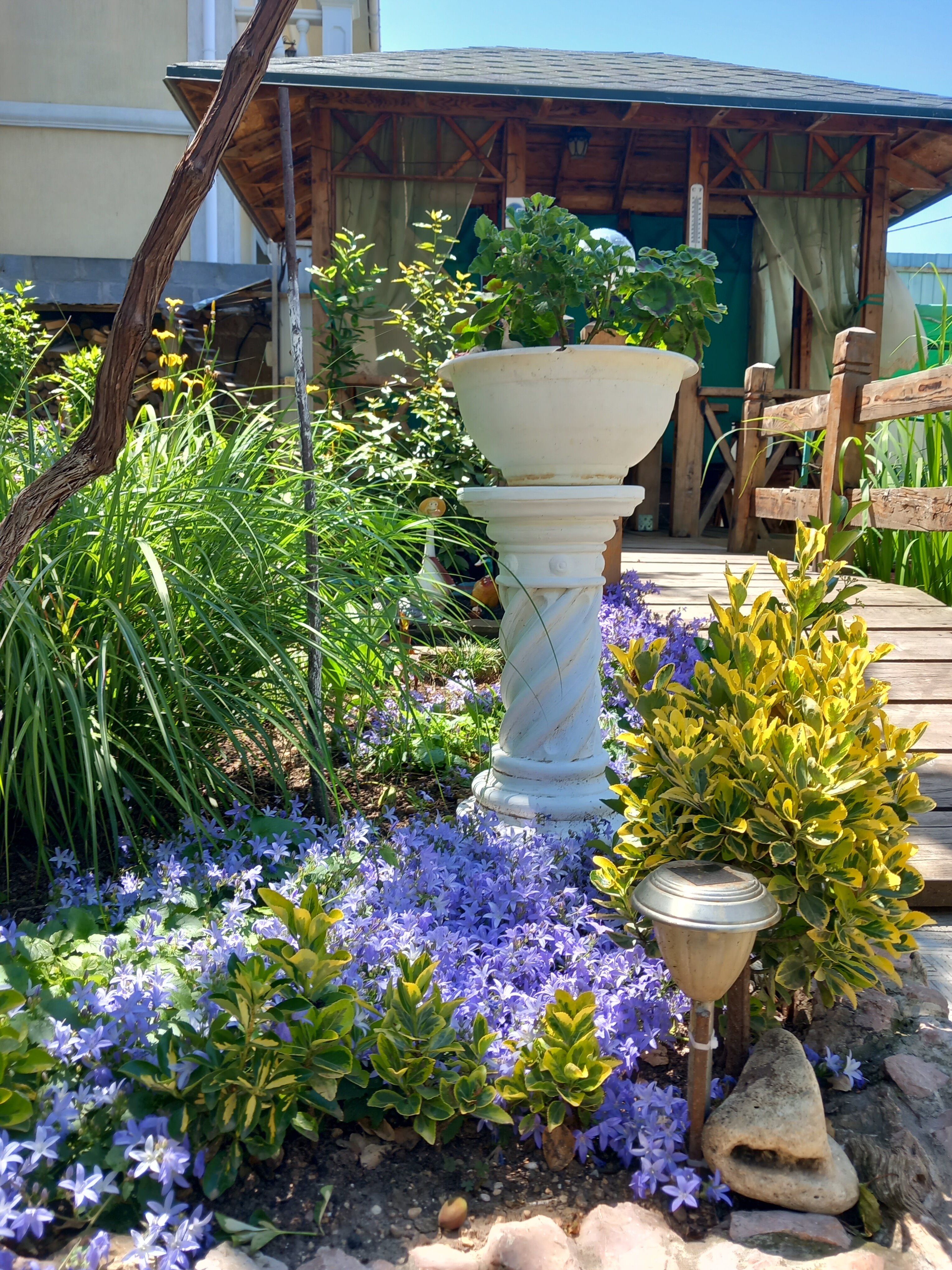 Фото Зелёный дворик