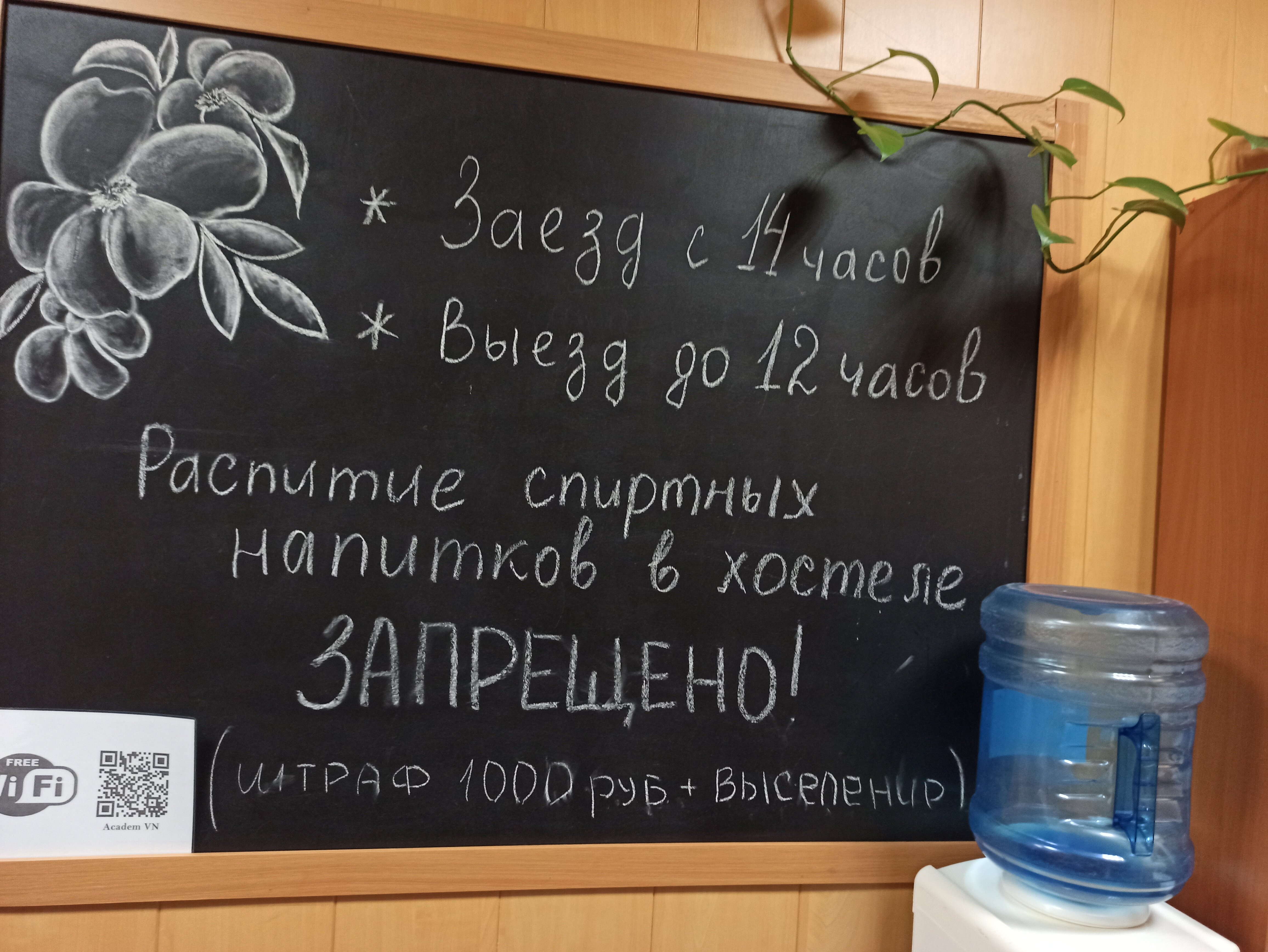 Фото Академ ВН