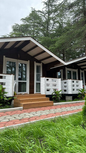 Гостиница Eco House Pitiunt в Пицунде