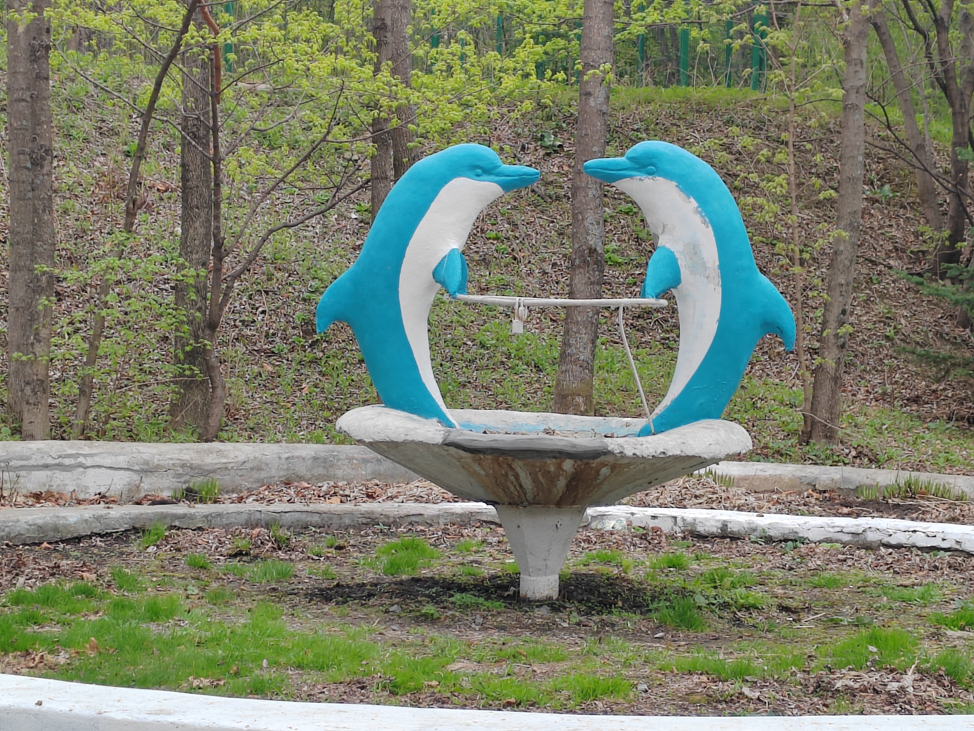 Фото Седанка Парк