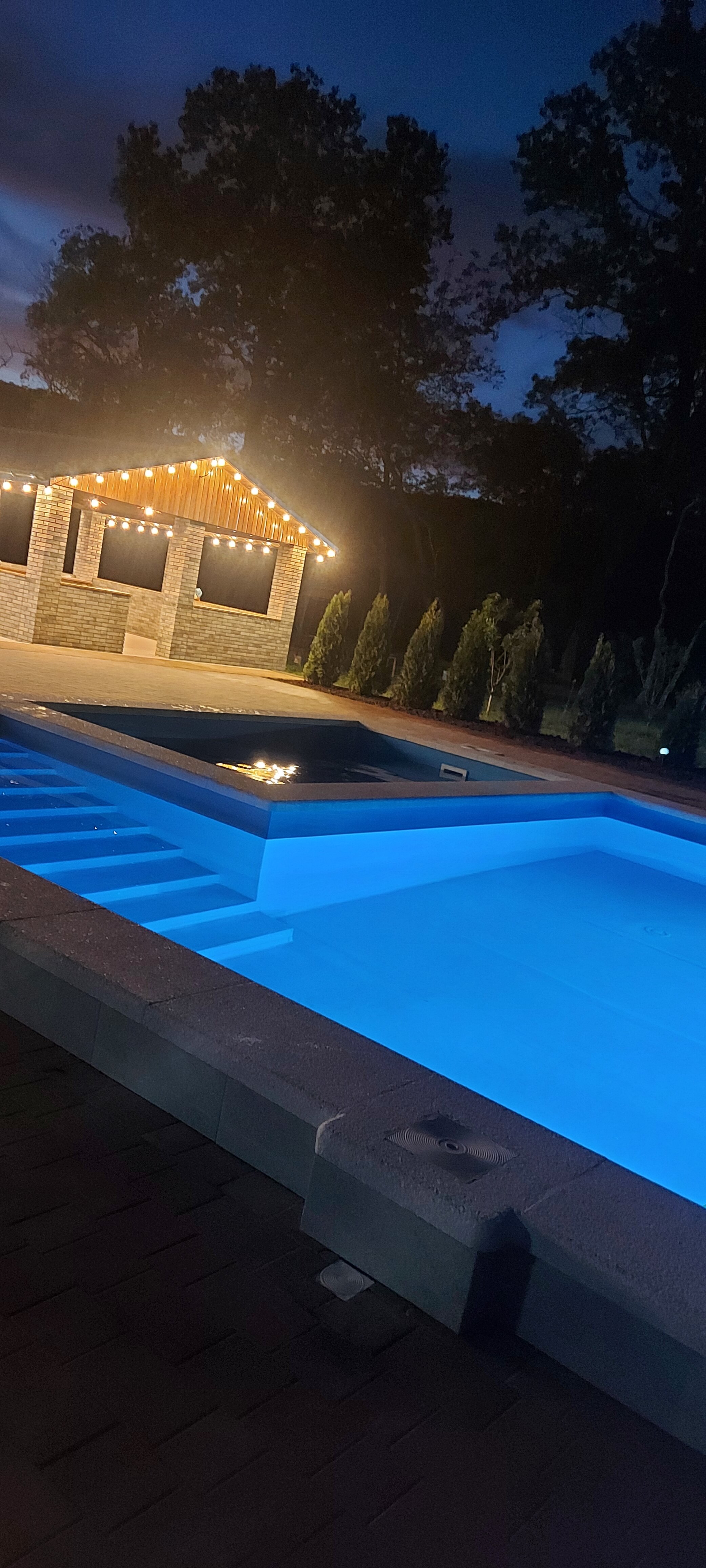 Фото Кипарис