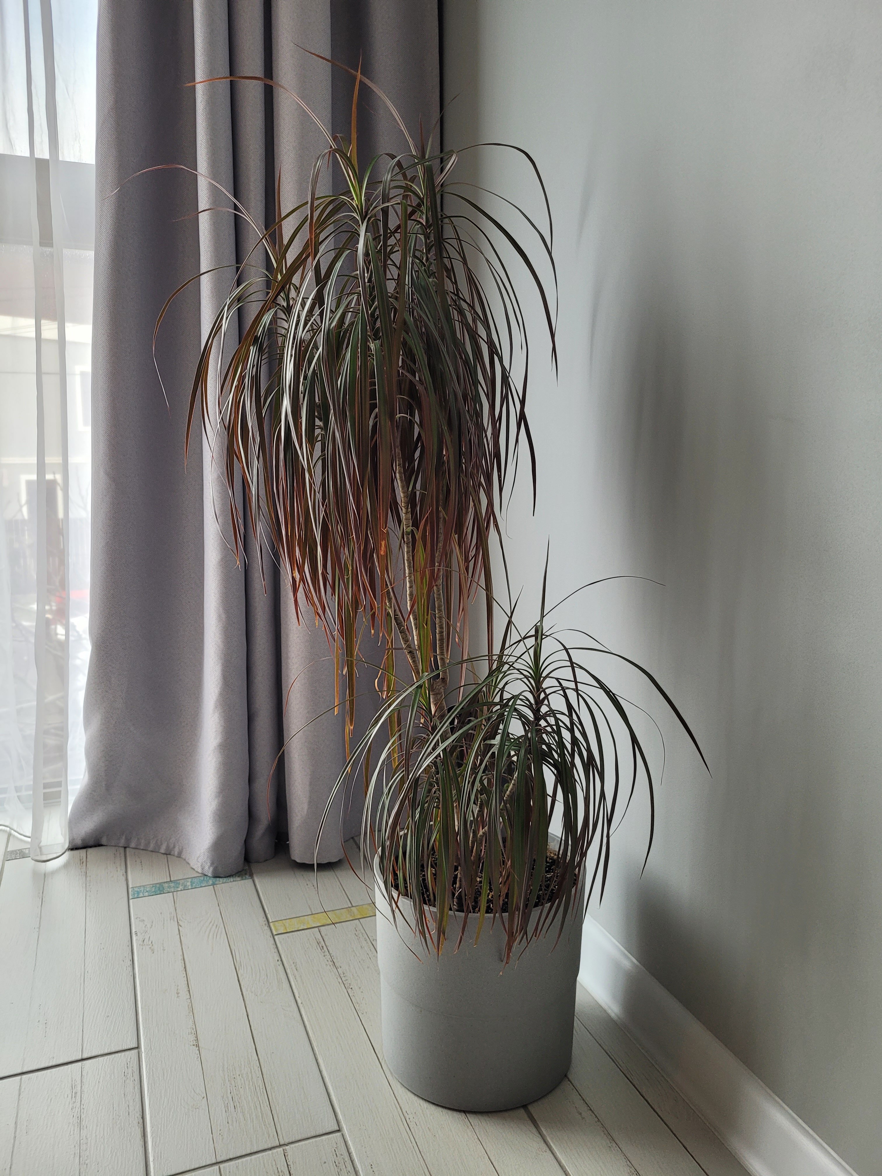 Фото Апартаменты в Адлере