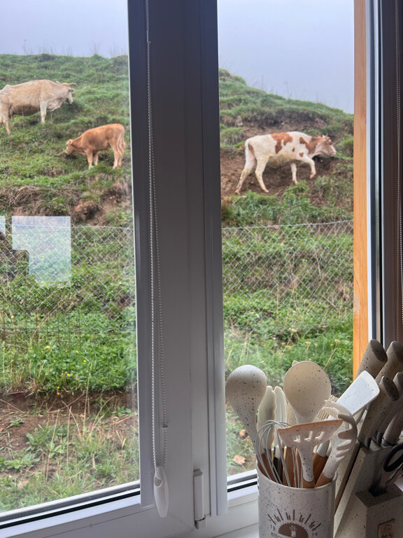 Фото Орлиное гнездо