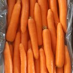 Besharat Foodstuff Trading (Al Fajer Complex Block B, Al Fajer Complex Residence, Oud Metha, Bur Dubai, Dubai), greengrocery