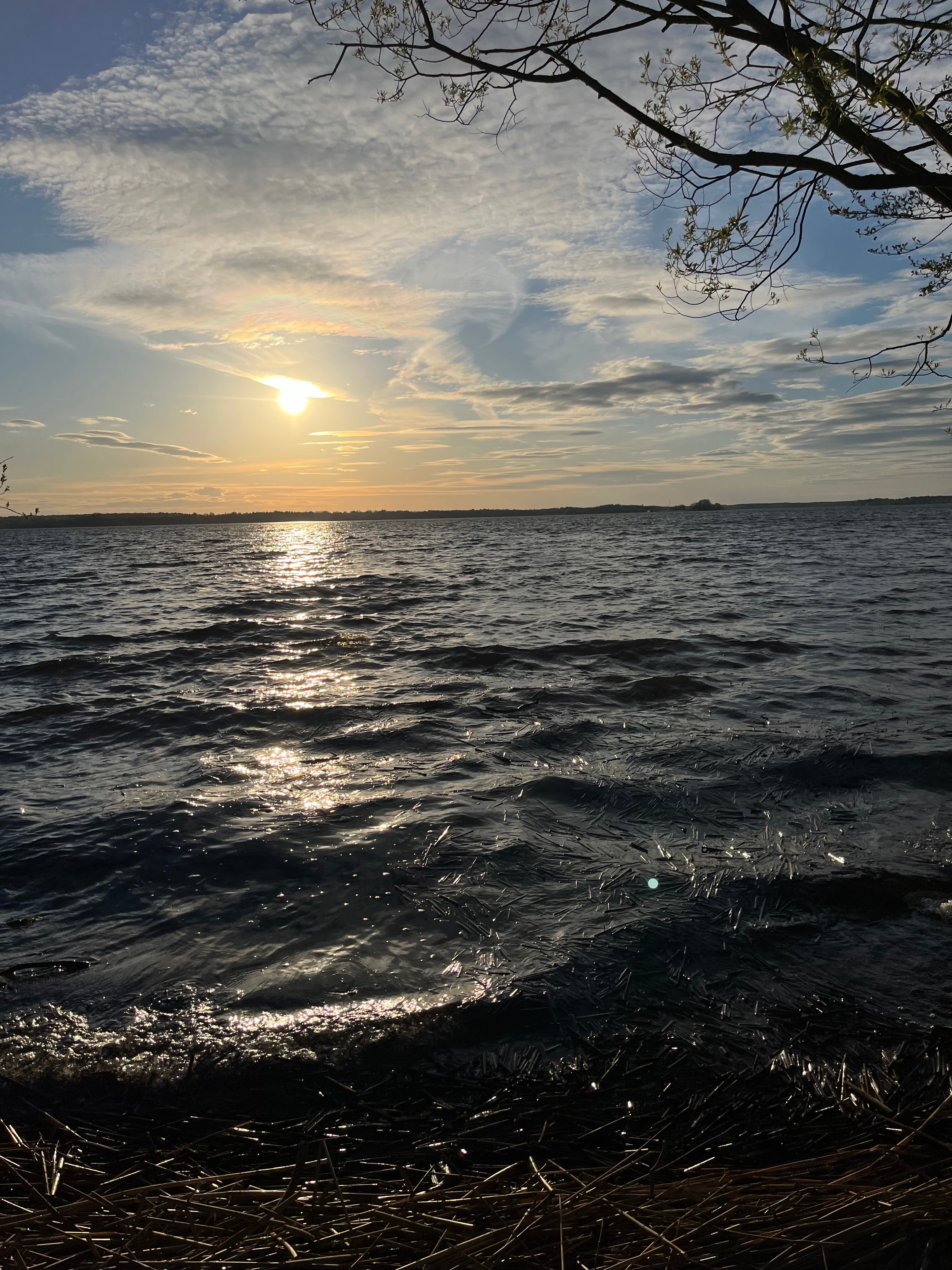 Фото Тихий уголок