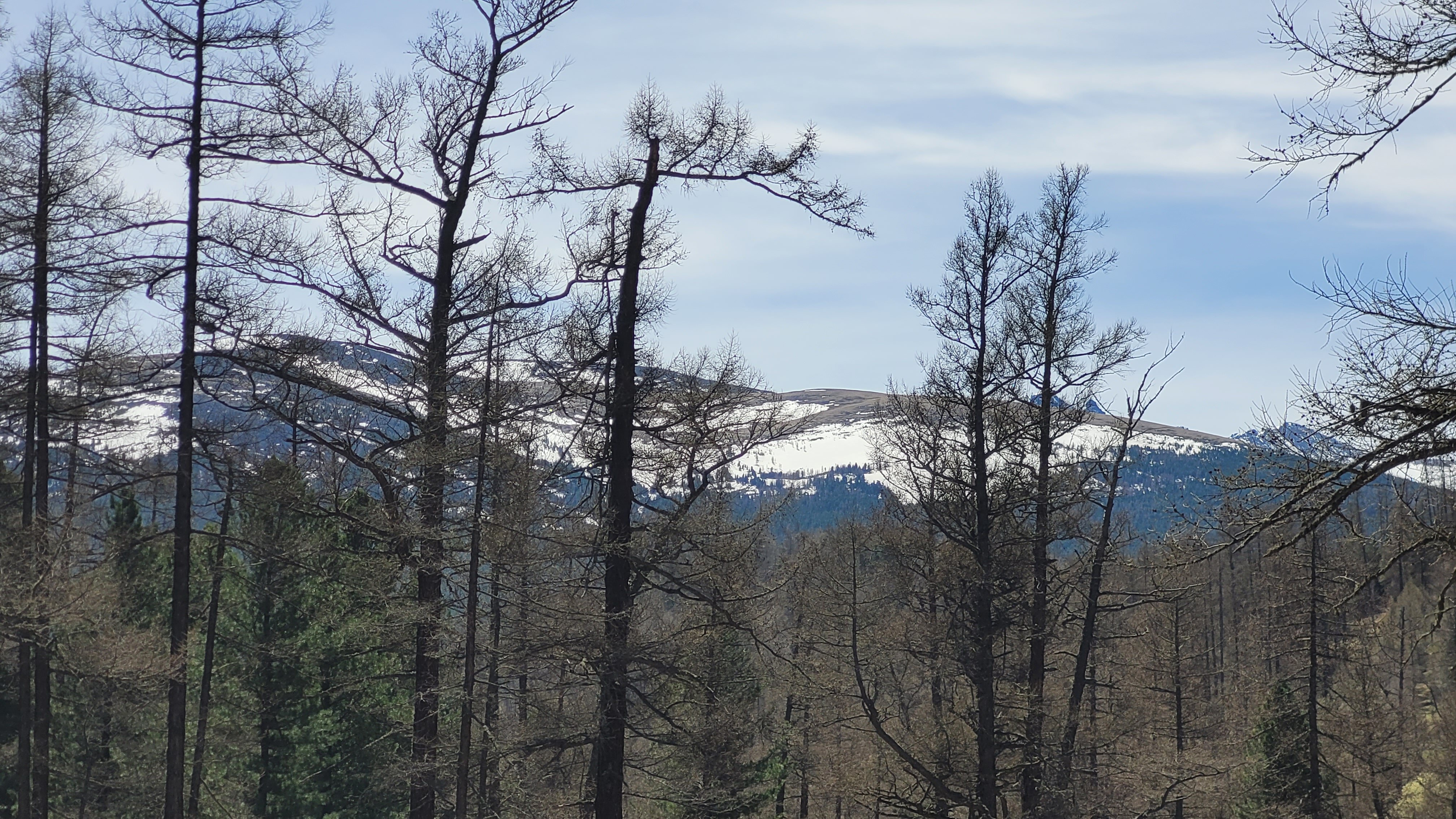 Фото Самарган