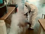 Central disinfection station SPb (Sadovaya Street, 28-30к1) ، التطهير وإزالة الطفيليات والآفات