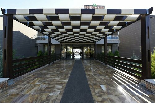 Гостиница Hierapark Thermal & Spa Hotel в Сарайкёе