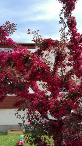 Гостиница Kristinebergs Bed & Breakfast Mora