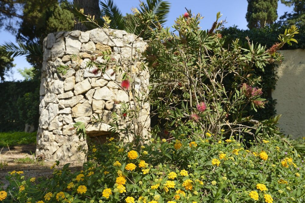 Фото Hotel Oasis