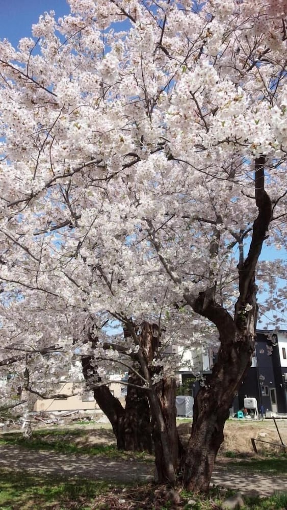 Фото Guesthouse Fuga