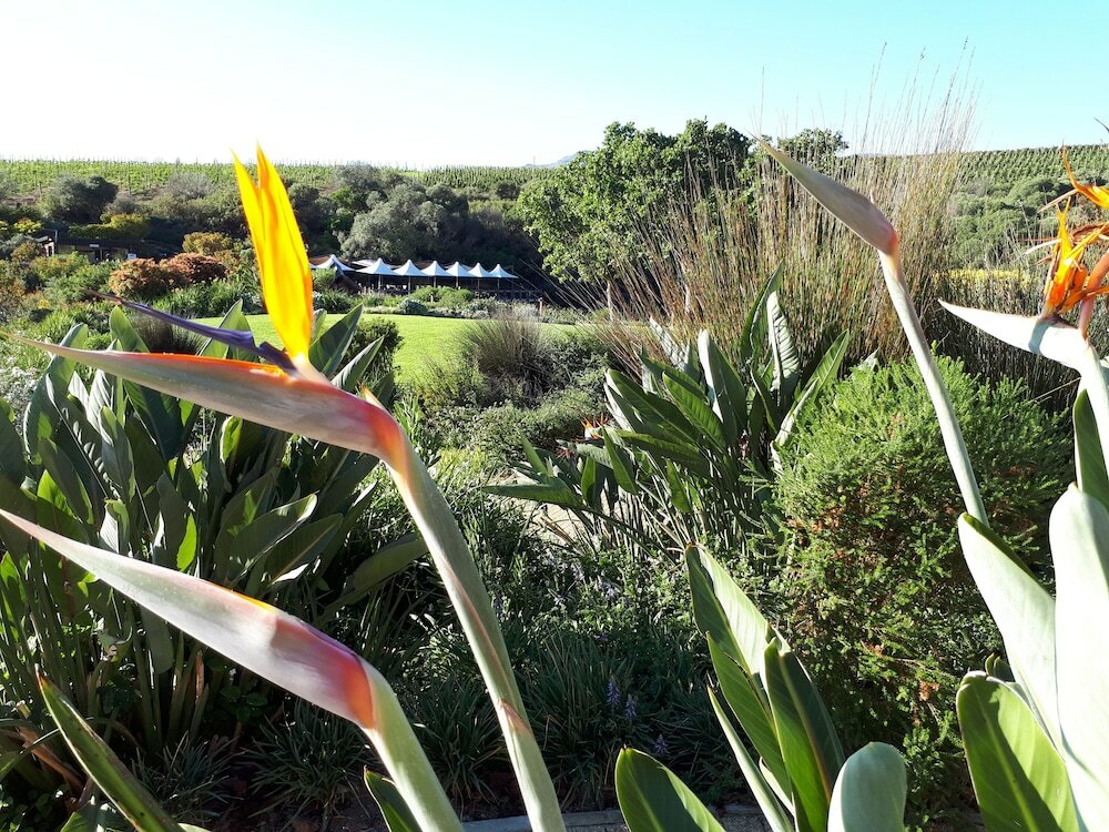 Фото Adrian D'Cap