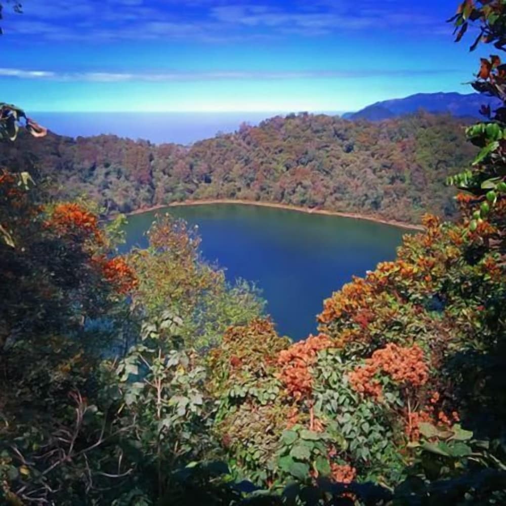 Фото Hotel Vintage Casa las Flores