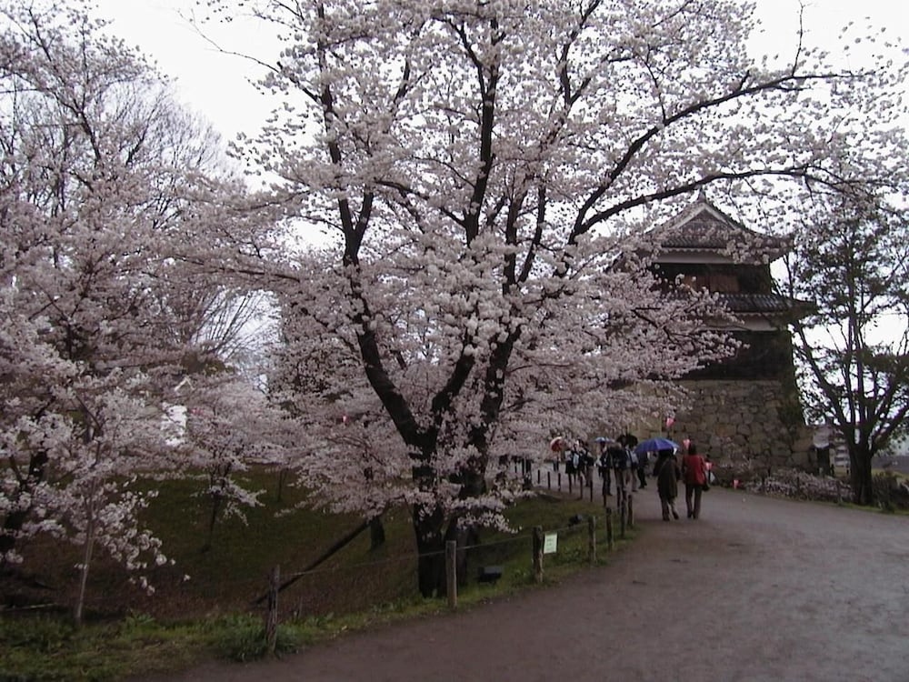 Фото Bouzantei Kotobuki