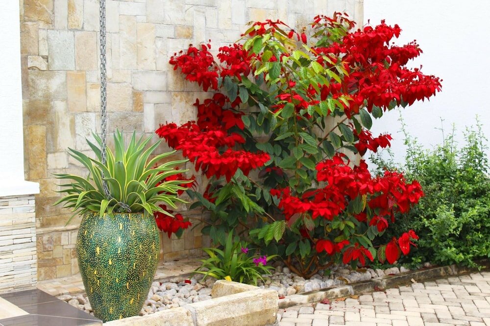 Фото Ecoair Apartment Hotel