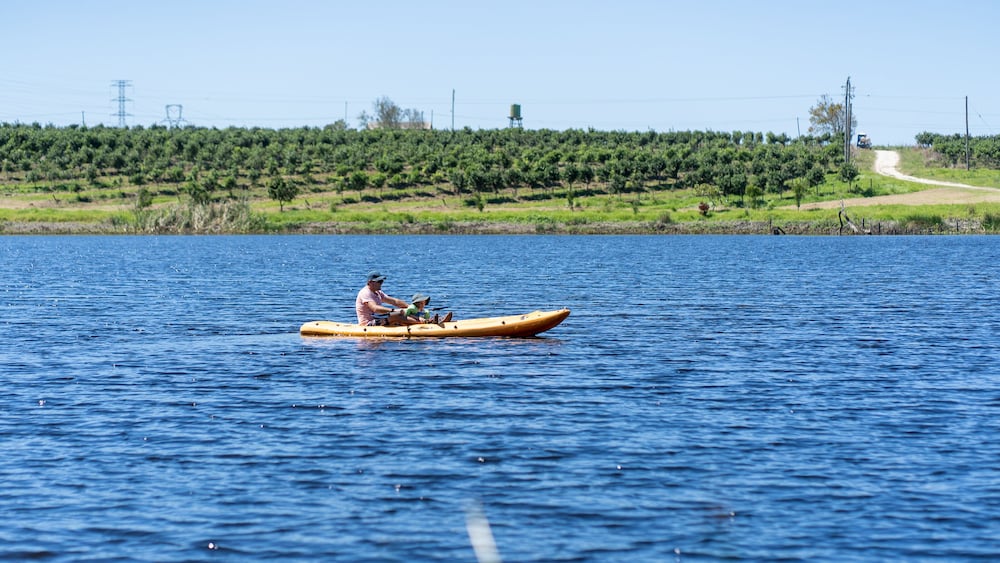 Фото AfriCamps at Oakhurst- Glamping