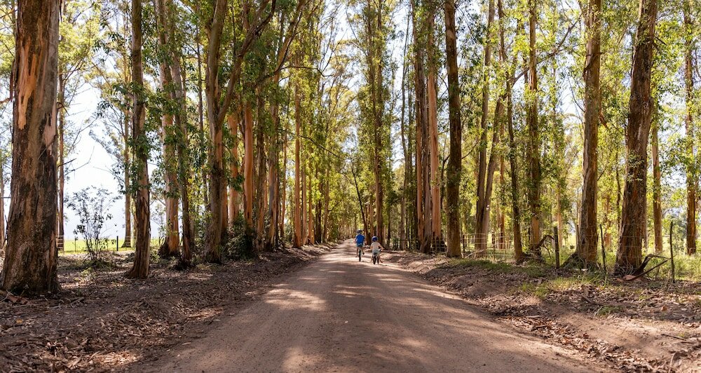 Фото AfriCamps at Oakhurst- Glamping