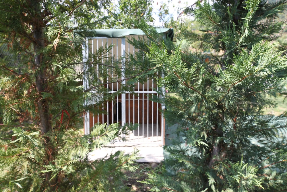 Фото Amata Valgre