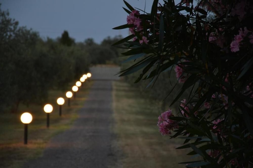 Фото Tenuta Di Pontesodo