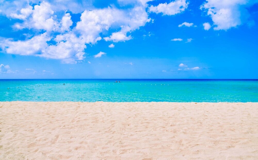 Фото The Yellow Bird