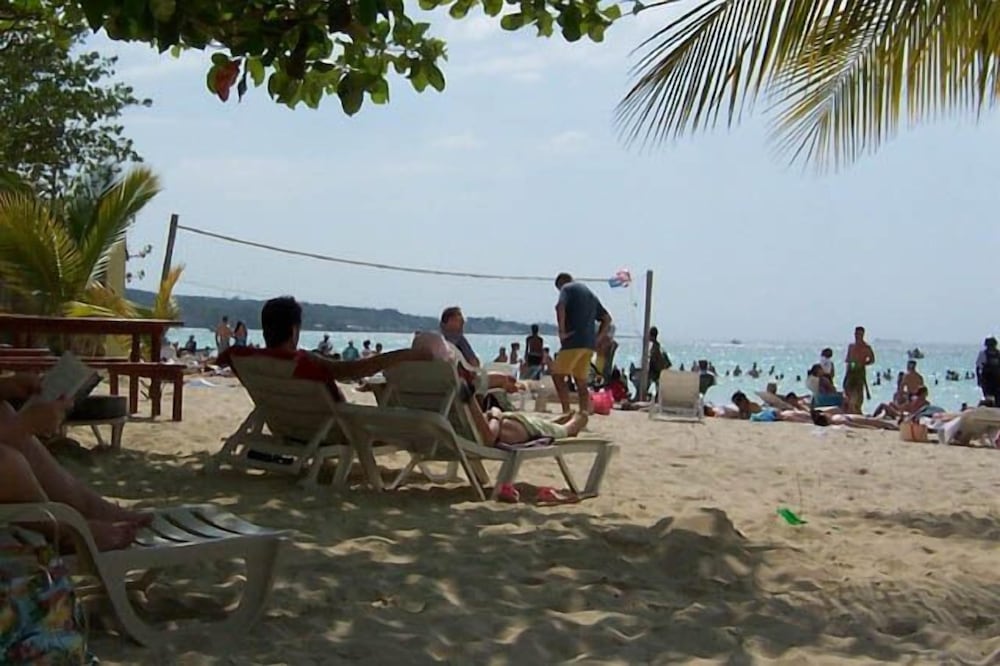 Фото The Yellow Bird