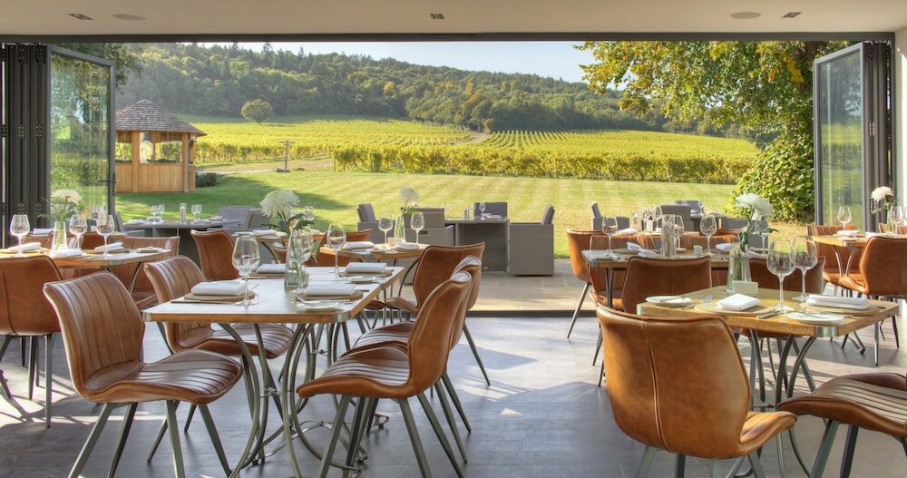 Фото Denbies Vineyard Hotel