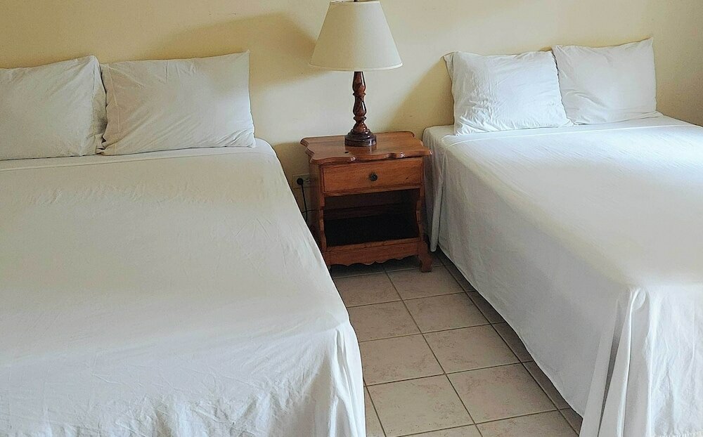 Фото The Yellow Bird