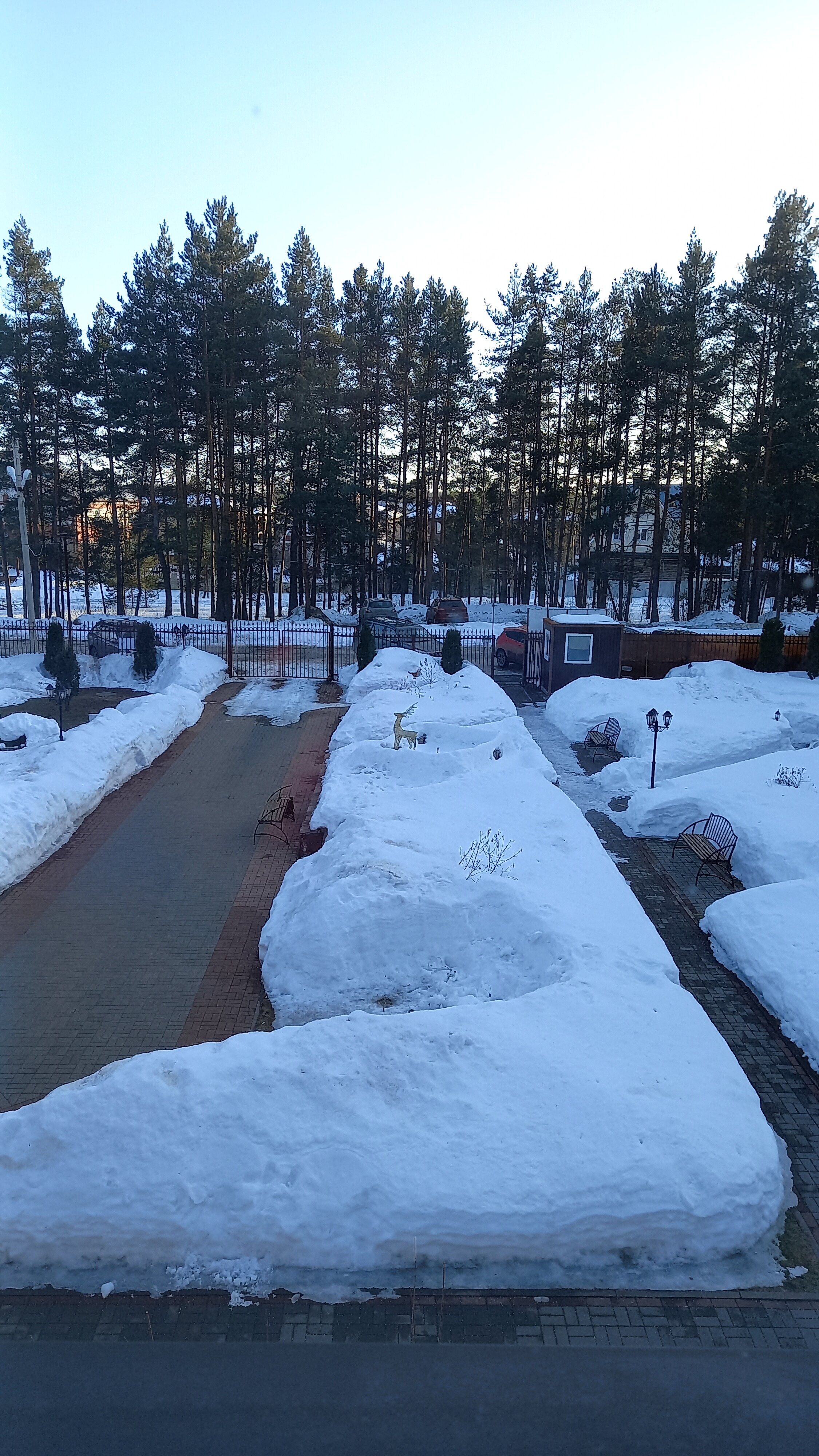 Фото Олимпия