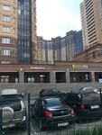 Pioner Plus (Zarechnaya Street, 41), rental