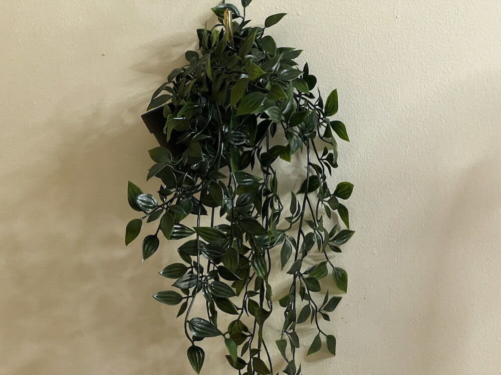 Фото Pied-A-Terre Mont-Royal