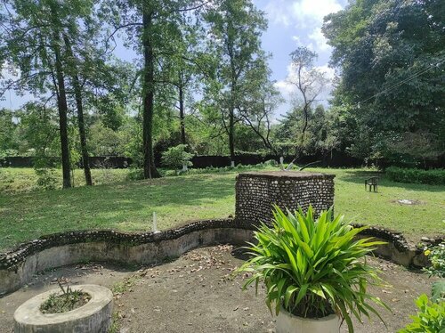 Гостиница Homocation Jungle Resort