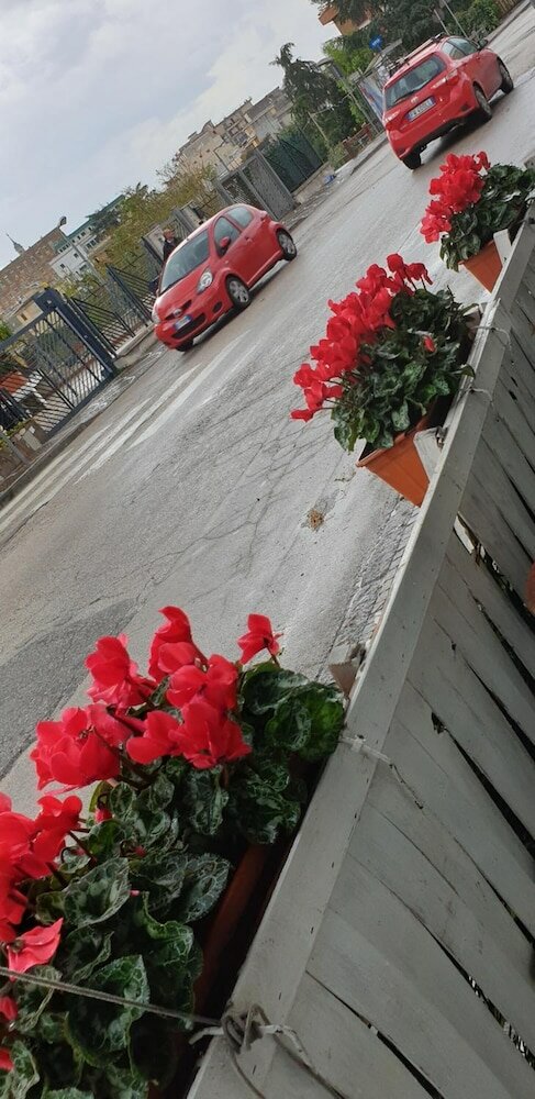 Фото Oh Mamma Mia