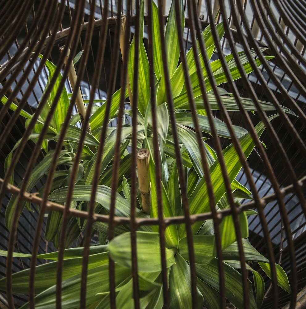 Фото Lighthouse by Brown Hotels