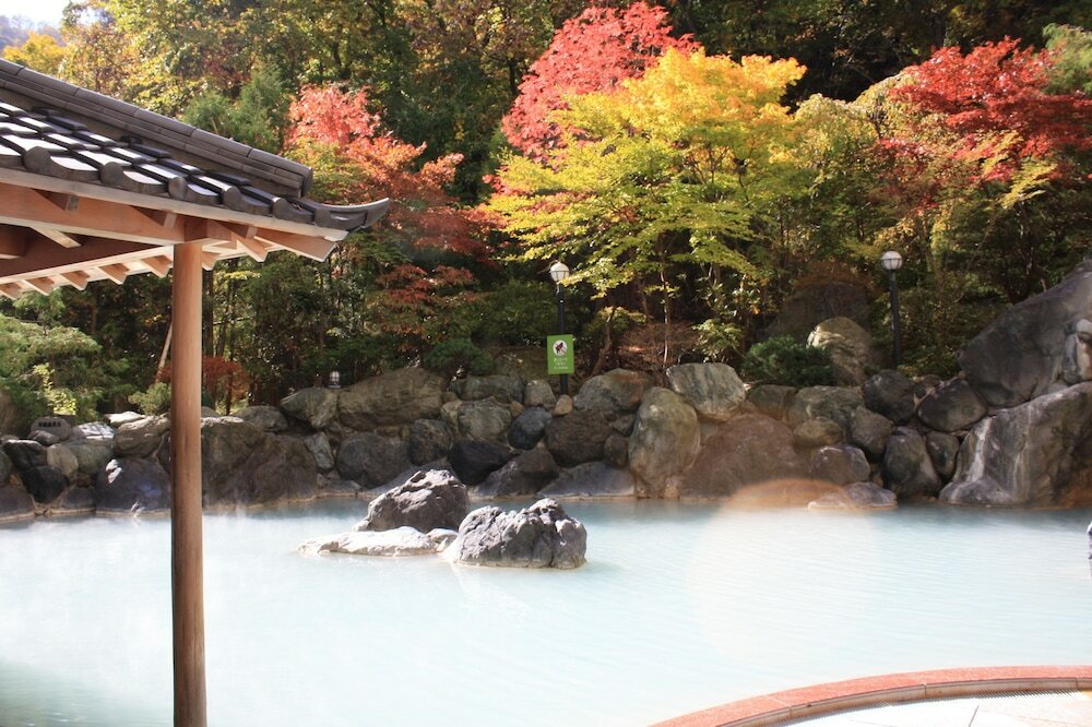 Фото Hotel Mahoroba