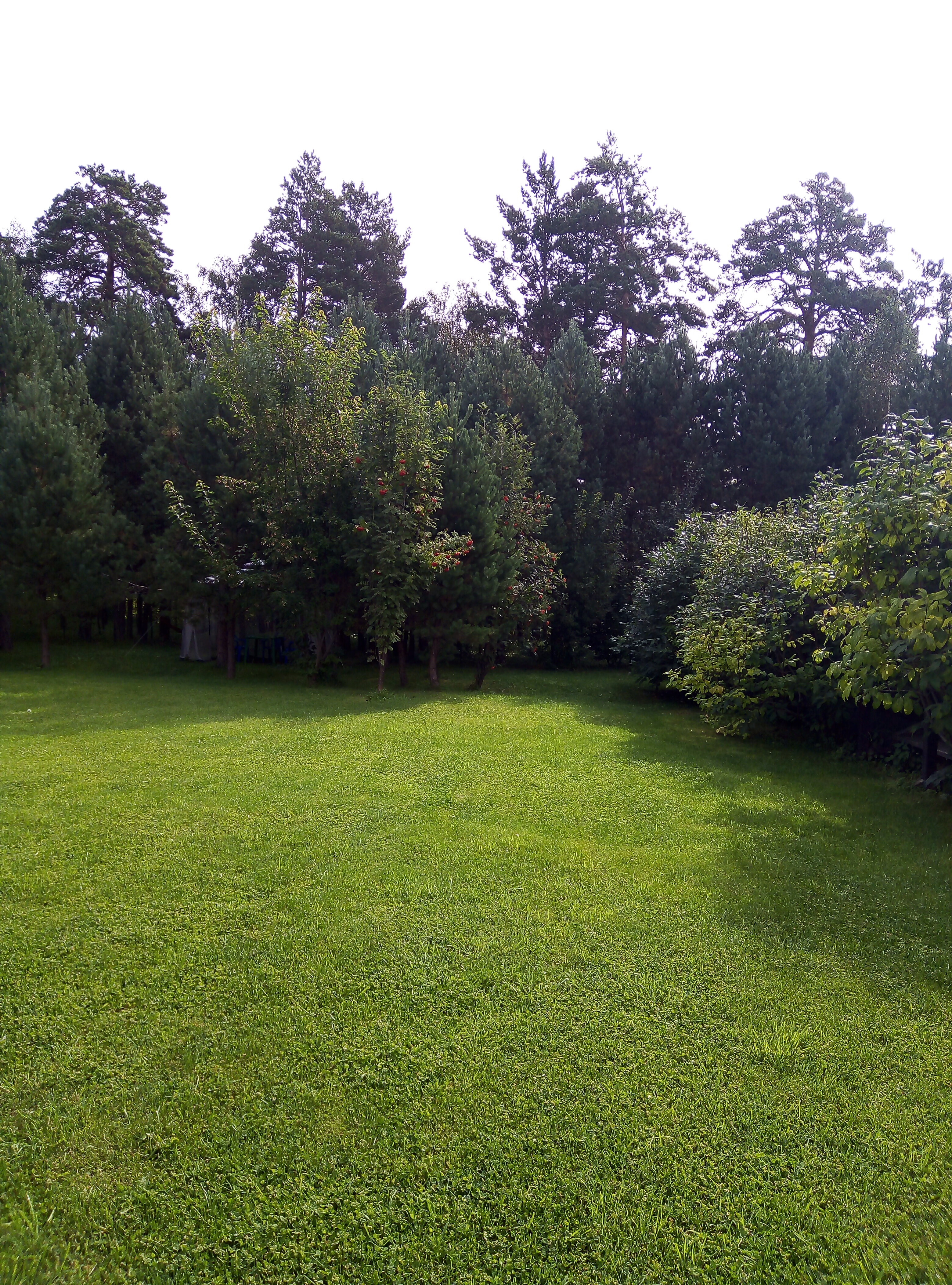 Фото Усадьба толстяка МО