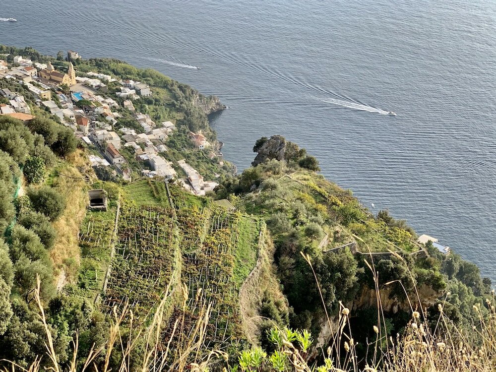 Фото Tenuta Novecento Bio Agriturismo