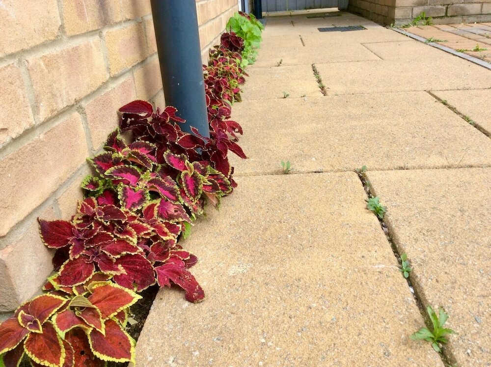 Фото Igloo CityCroft Luxury Townhouse