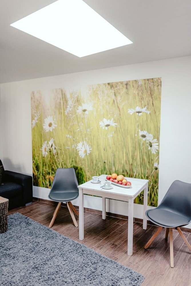 Фото Apartments Zelny Trh III