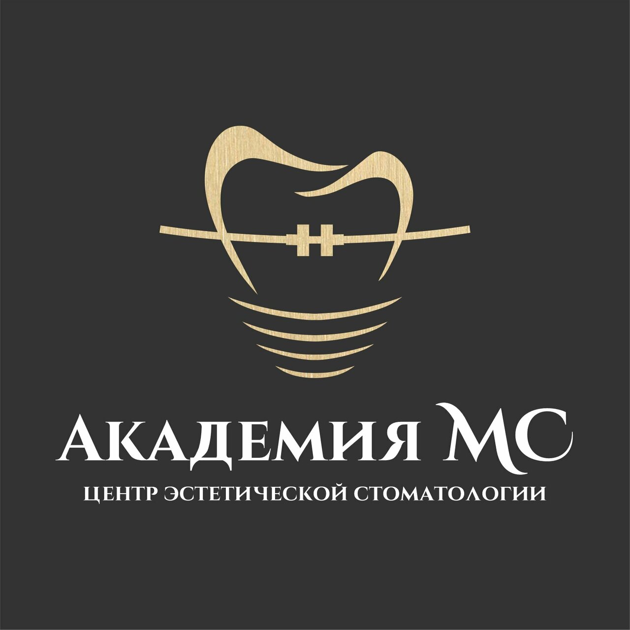 Академия-МС
