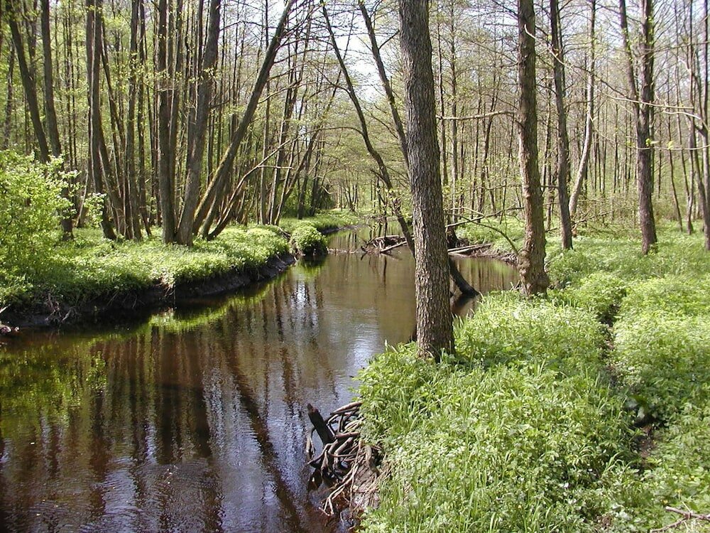 Фото Annas Hotell