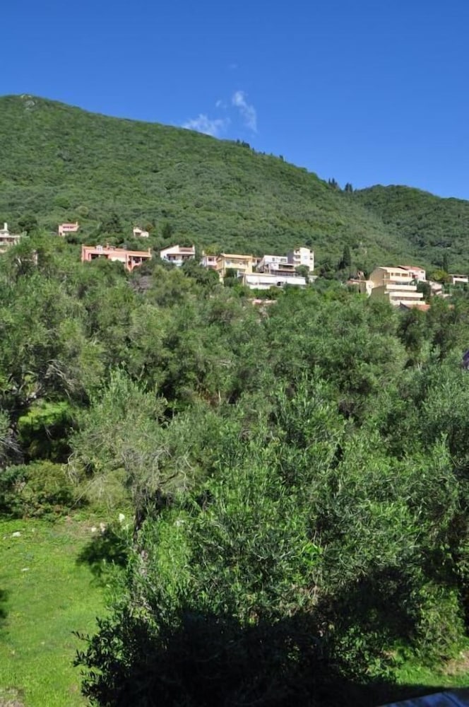 Фото Comfy Hostel Studios