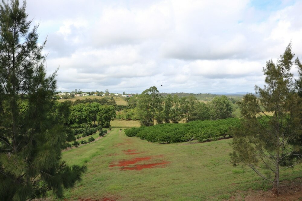 Фото Avocado Motor Inn