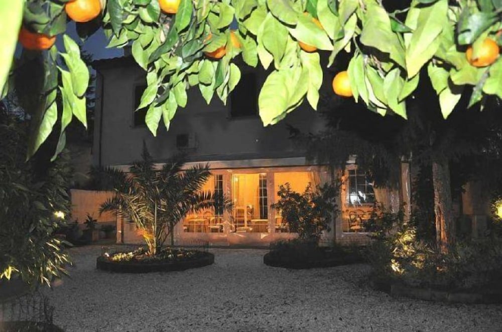 Фото Il Mattino ha l'oro in bocca