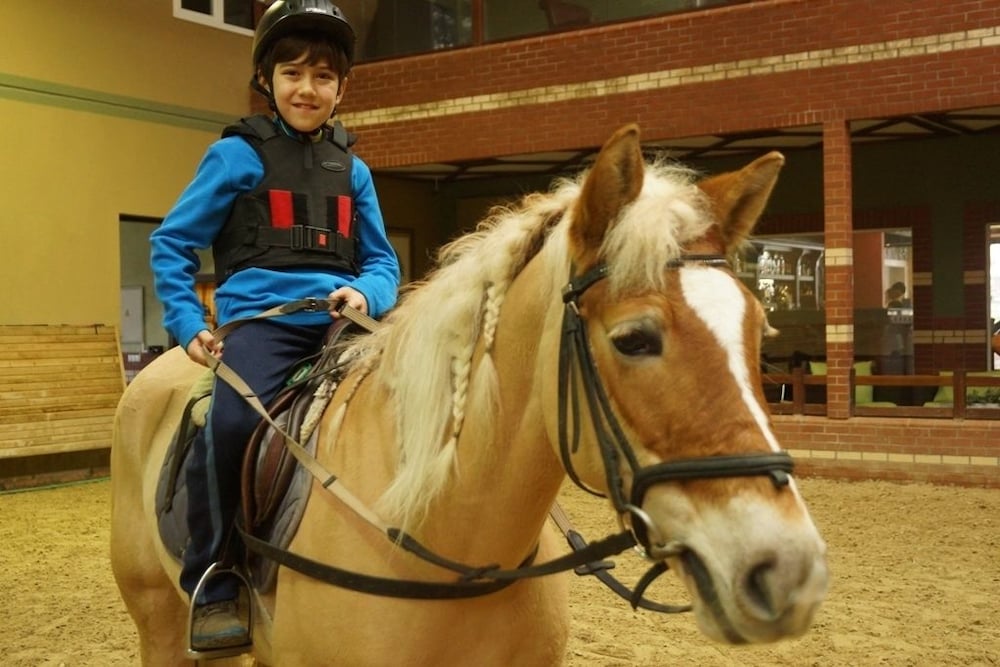 Фото Padok Premium Hotel & Stables