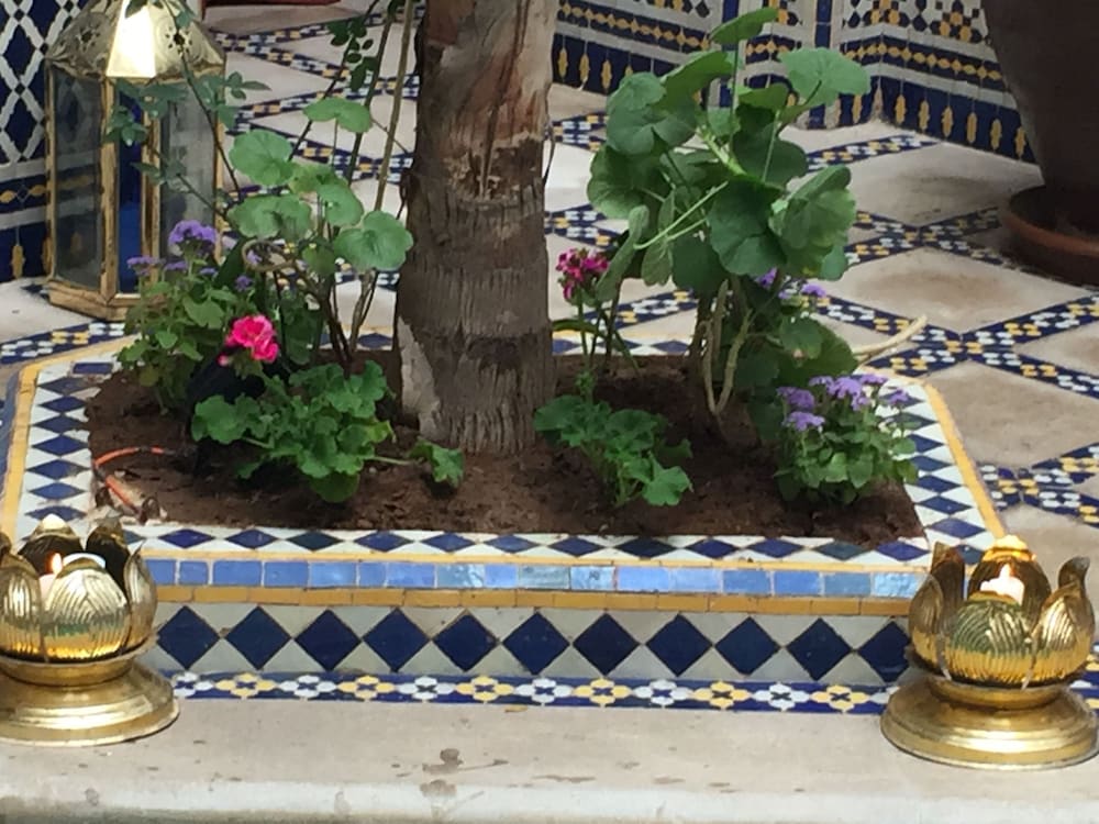 Фото Riad & Spa Esprit du Maroc