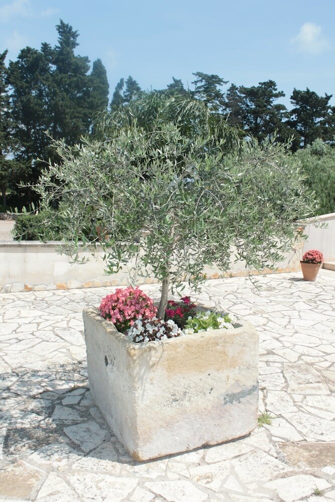 Фото Tenuta Turchi